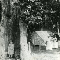 Small girl and big, hollow tree at Forest Park