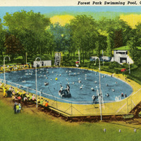 Forest Park Swimming Pool