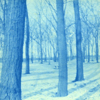 Blue Chautauqua: a winter scene in Forest Park